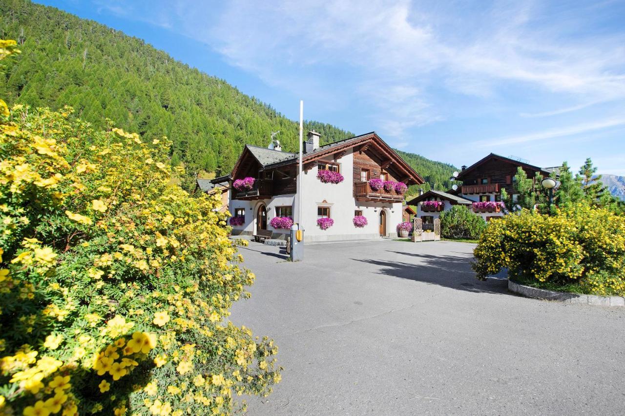 Stella Alpina Camping Stella Alpina ลีวินโญ ภายนอก รูปภาพ